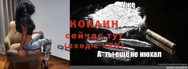 купить наркотики сайты  ОМГ ОМГ сайт  Cocaine 98%  Петушки 